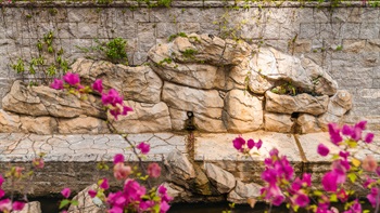 Artificial rock planters combine with the river structure the river and include hidden soil pockets that foster plant growth.